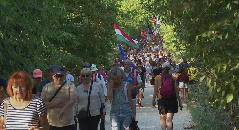 10-ből már csak 4 zebrát láttak Mészáros Lőrinc birtokán