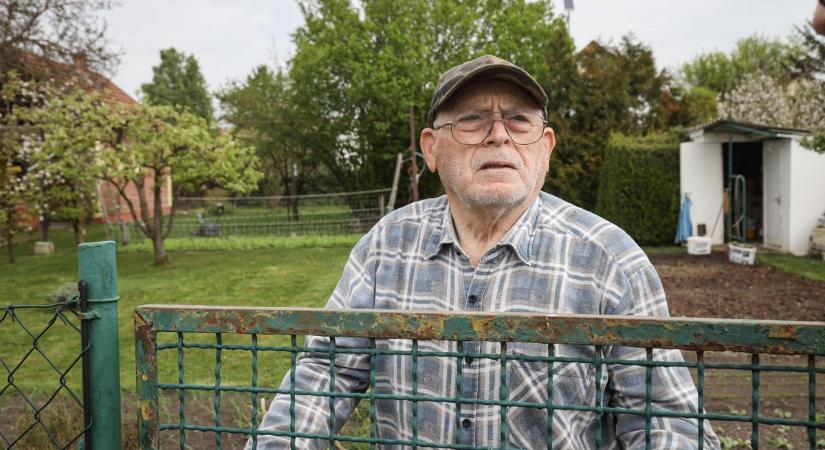 Szolnok rejtett édenkertjébe hívjuk: ismerje meg az eldugott paradicsomot, a béke szigetét – galériával