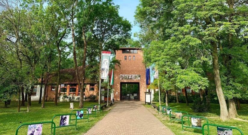Különleges programokkal készül a Szegedi Vadaspark, így hozza közelebb a természetet a látogatókhoz