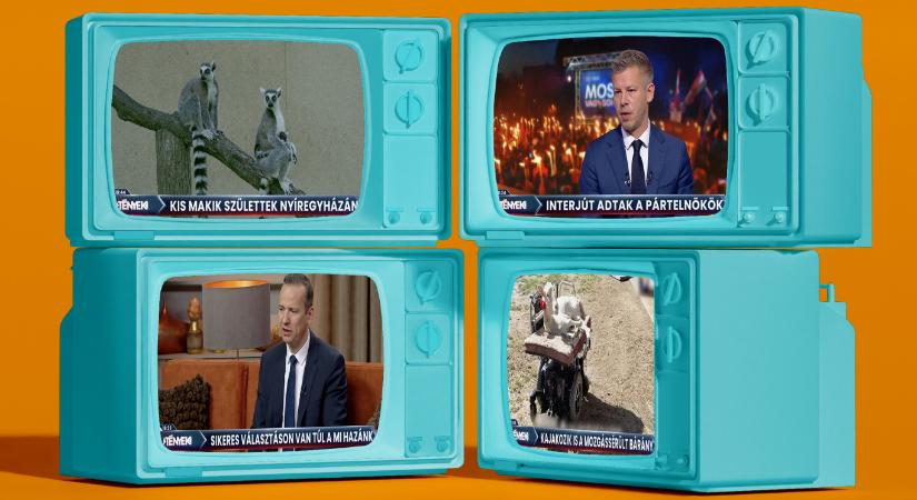 Terrorizmust éltető, őrjöngő tiszások után mozgássérült bárányokkal és Toroczkai Lászlóval tért vissza a lecsavart Tények