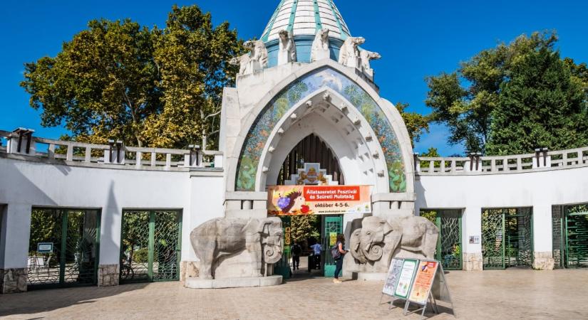 BeporZOOna: Beporzóbarát kerttel bővült a budapesti Állatkert növénykerti része