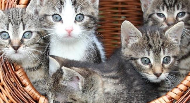 Megérkezett a friss időjárás-előrejelzés vasárnapra - Hidegfront jön