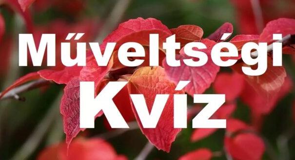 Műveltségi kvíz: Erre a 8 kérdésre tudod a választ? (429)