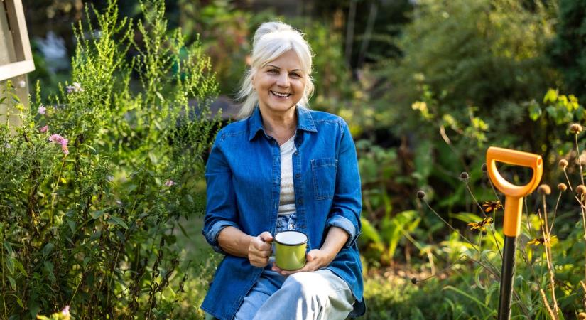 Árnyékos a kert? Semmi gond, itt van öt növény, amely sötétebb zugokban is virágzik