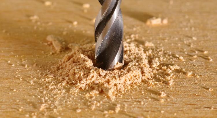 A fa, amely a napfényt hővé alakítja, és sötétben is napenergiát szolgáltat