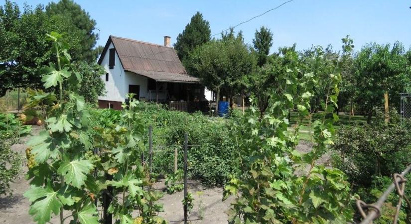 Csend a város szélen: kis ház nagy kerttel jó áron eladó Mosonmagyaróváron - fotók