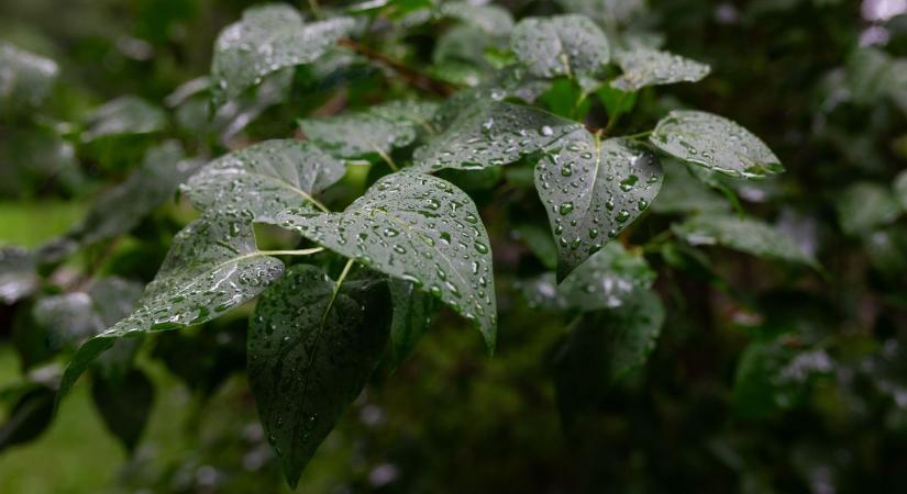 Hidegfront érkezik vasárnap