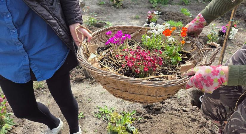 Rejtélyes pulykatojás és egy megmentett babacsiga - így telnek a napok a Kemence-farmon
