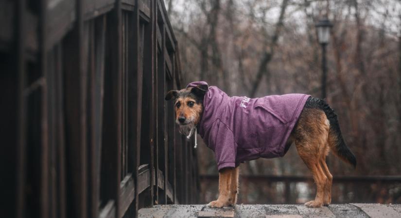 Jön a hidegfront, jönnek a záporok