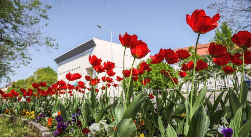 Egészen normális lesz a vasárnap, használjuk ki, irány a természet!