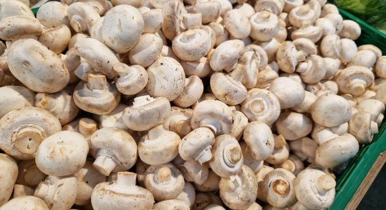 Szárnyal a magyar gomba exportja