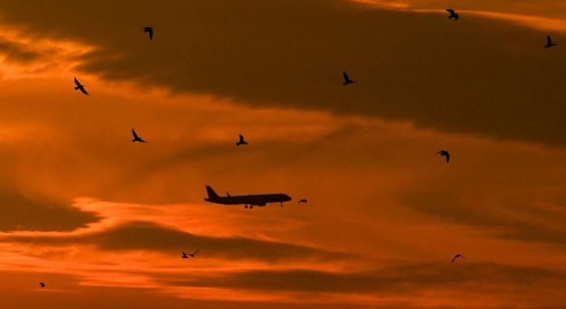 Már a németek is beismerték: nem lesz üzemanyag