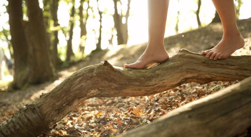 Különös túraösvényt alakítottak ki ebben az erdőben - Te kipróbálnád ?