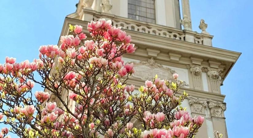 Már csak rövid ideig ilyen a Balaton: top helyek, ahová érdemes most elmenni