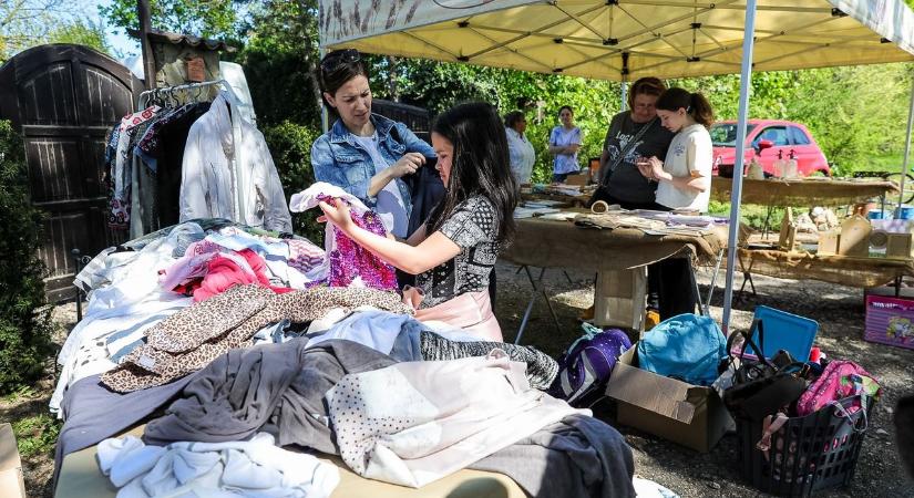 Kincsvadászat a Tóthegyen: huszonöt udvar nyílt meg egy napra Pannonhalma legszebb részén - fotók