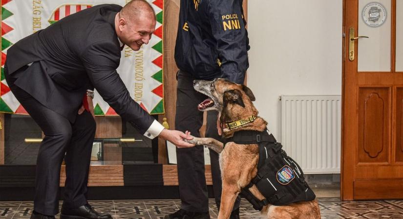 Egy négylábú hős története – Tico rendőrkutya 11 év után befejezi szolgálatát