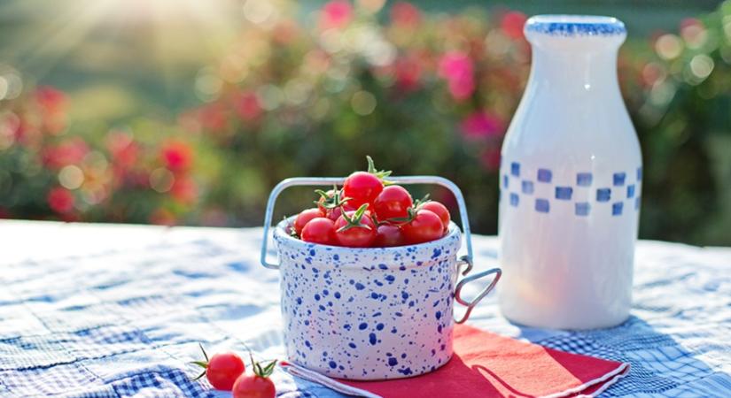 Családi majális Balatonalmádi tópartján