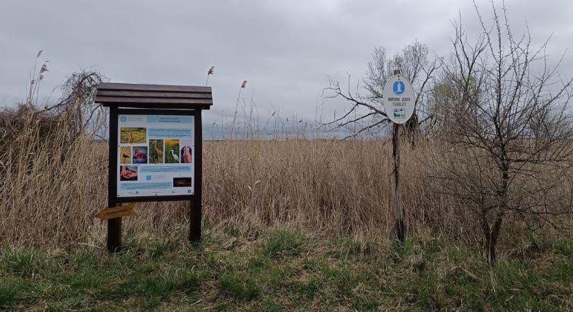 Súlyos sebeket ejtettek a tájon, sok minden kellett ahhoz, hogy megmaradjon a Nagyberek