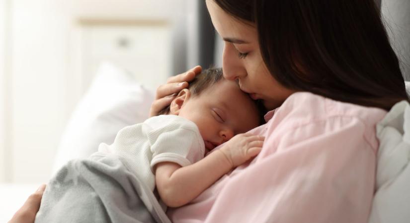 Patkánymérget találtak egy HiPP bébiételben – fontos figyelmeztetés a magyar vásárlóknak!