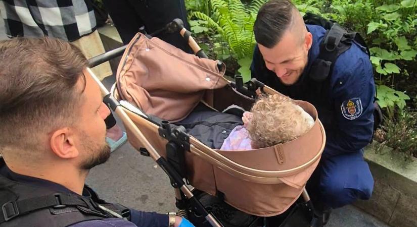 Állatkínzásnak indult, kiskorú veszélyeztetése lett a kíméletlen anya esetéből