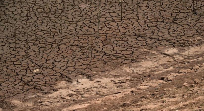 Riasztó adatok: kritikus szintre nőtt a vízhiány Magyarországon