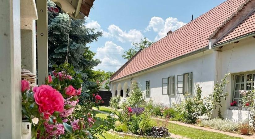 A jövő házőrzői a tücskök lehetnek – van, akinél már bevált