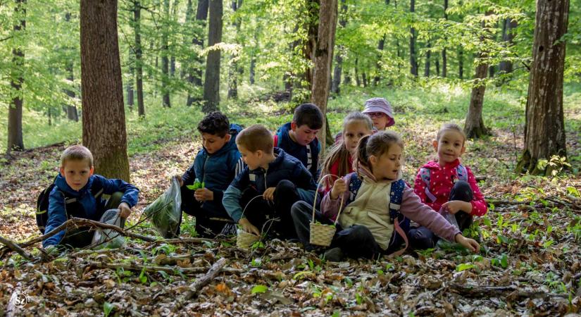 A medvehagyma idén is összehozta a kémeri közösséget