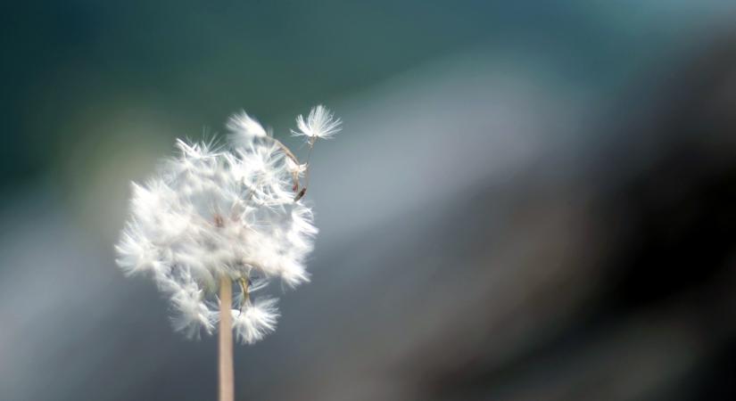 Jövőheti bolygóállások: eljött a cselekvés ideje