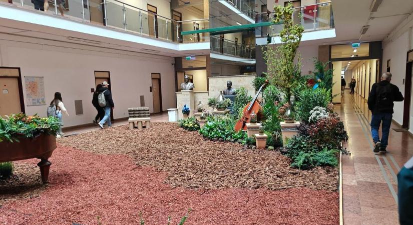 Beköltözik a természet a főépületbe: különleges Föld napja kert nyílik a Miskolci Egyetemen