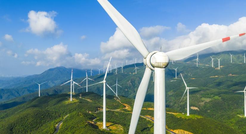 Kiderült, hány madár pusztul el a szélturbinák miatt