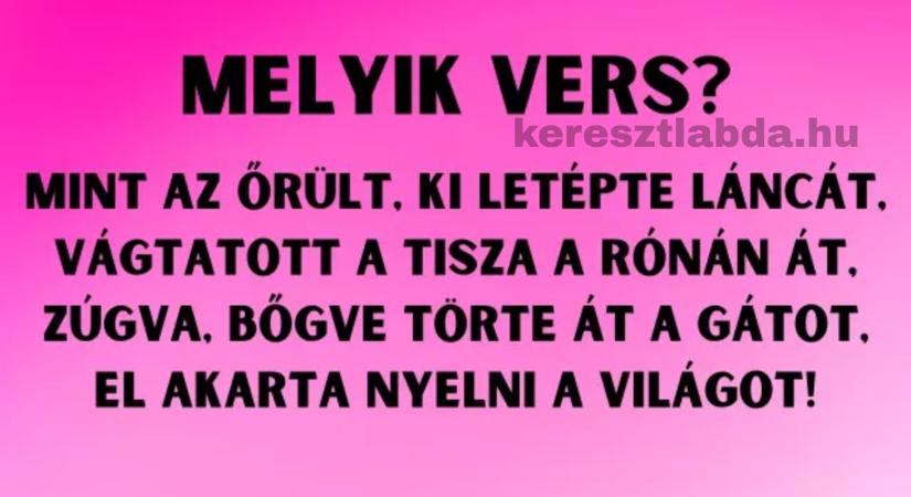 Napi irodalom feladat: A Tisza – kötelező volt, de tudod, kinek a tolla?