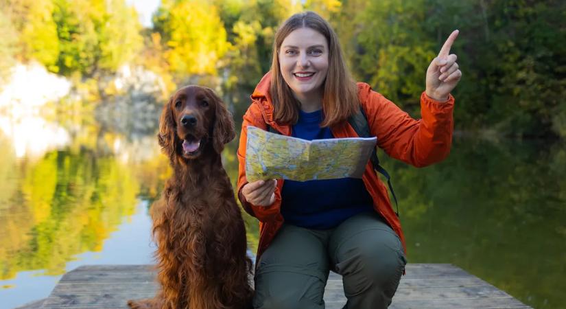 Nagy retró kvíz: mennyire ismered ki magad a zöld erdőben és a turistajelzések között?