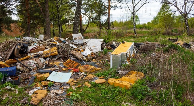 Hűtőt dobtak ki a kocsiból a parkba, a kamerákkal viszont nem számoltak