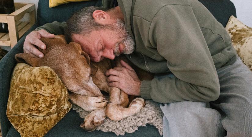 Így hosszabbíthatod meg a kutyád életét - Tudományos tanácsok gazdiknak