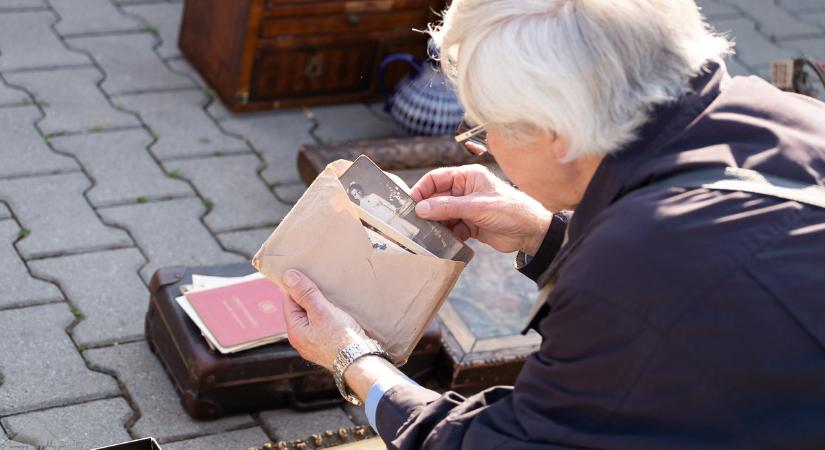 A képet választó kutya és a kavicsszóró