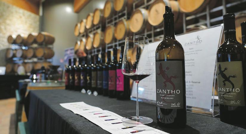 Így építettek virágzó borvidéket az osztrákok a magyar határ mellé