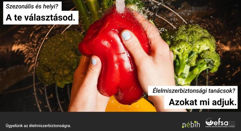 Tudod, mi van a tányérodon? - Indul a 2026-os Safe2Eat kampány