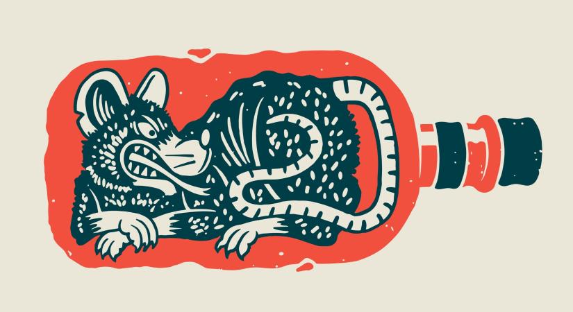 Bezzegausztria: patkánymérget találtak egy bébiételes üvegben