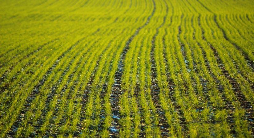 Minden válság átmeneti, leküzdhető és túlélhető