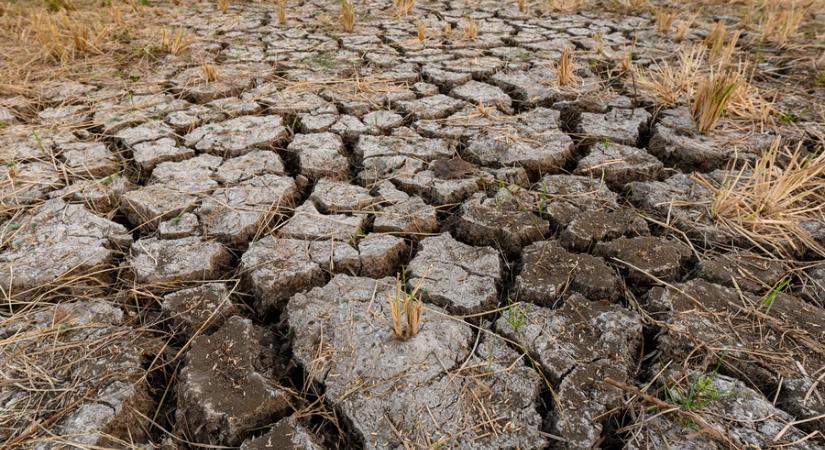 Fékevesztetten haladunk a száraz kor felé, pedig „centire” meglenne a csapadék