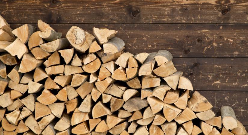 Veszélyezteti a hazai erdőket a rezsicsökkentés és a pazarló fatüzelés - áll egy ELTE-tanulmányban