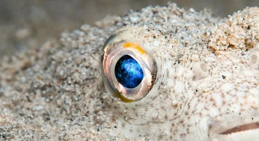 Küklopszok voltunk! Sokkoló állítás az ősünkről