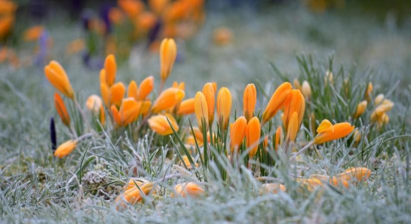 Szélvihar és fagy: Kettős arcát mutatja a tavasz