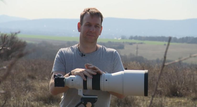 Vaddisznók, hiúzok testközelből: Tamás pár méterről fotózza a vadállatokat