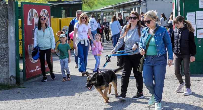 Állati programok a Győri Állatmenhelyen - fotók, videó