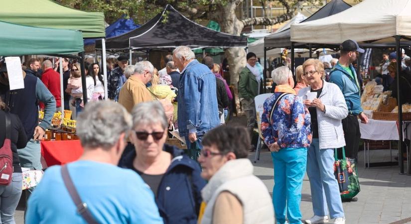 Világújdonság bukkant fel a Miskolci Termelői Napon – fotókkal