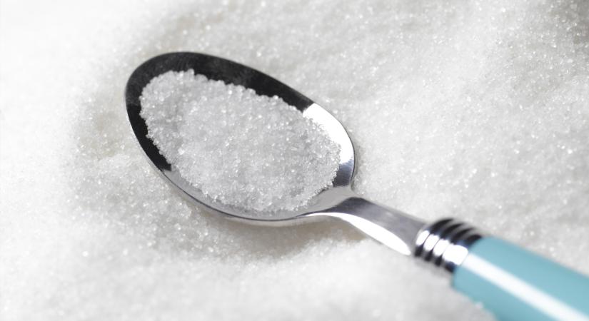 Francia tudósok megerősítették: a cukor kulcsszerepet játszik az emlékek megszilárdításában, és bizonyítja, hogy az éhség és a memória összefüggnek
