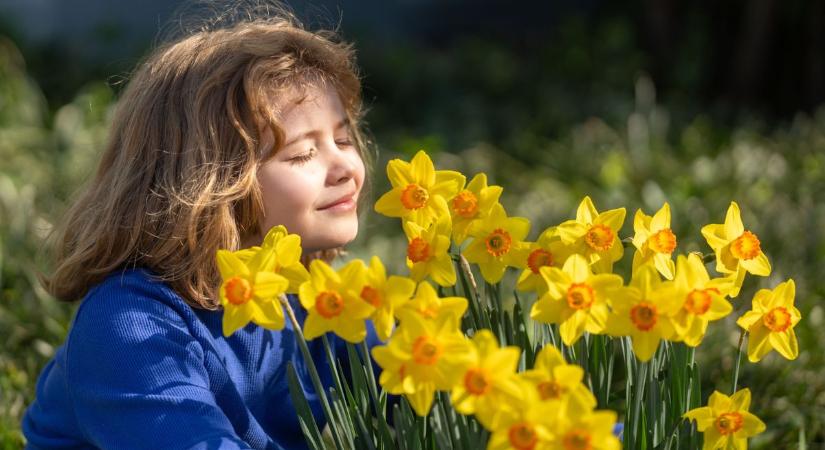 Esővel indul, napsütéssel zár? Fordul az időjárás hétfőn