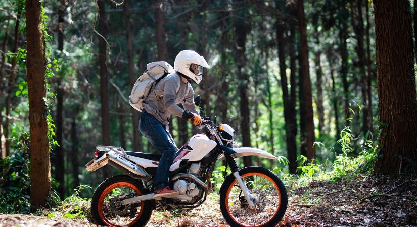 Súlyos vád a terepmotorosoktól: fegyverrel, kötélcsapdával várták őket - az erdőőrök szerint nem történt semmi különös