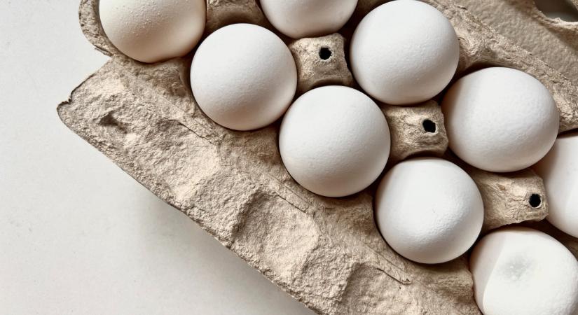 Ömlik az ukrán tojás az EU-ba: kemény, mennyit vásárolnak